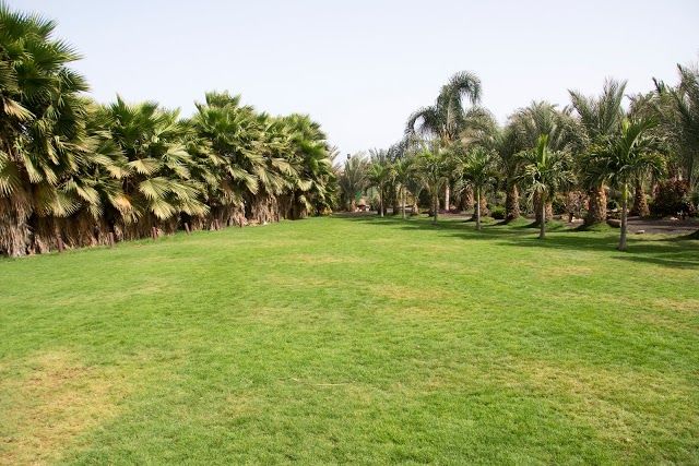 Viveiro Botanical Garden